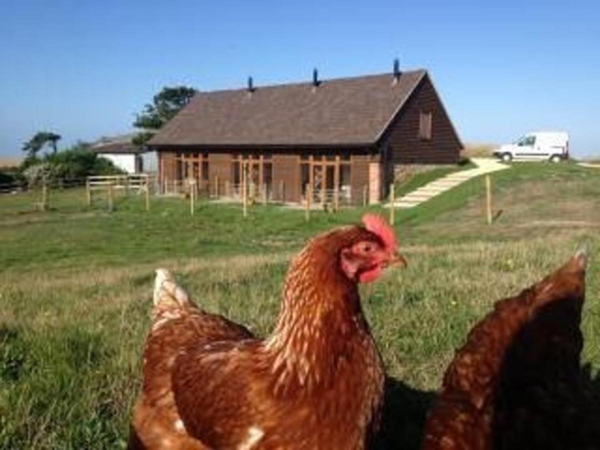 Bike Shed - Beautiful 1-Bed Cottage In Shorwell Exterior foto